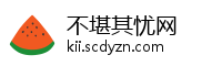 不堪其忧网